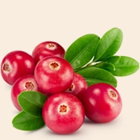 Fresh cranberries