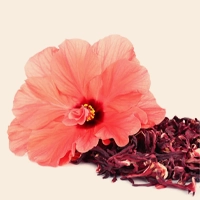 Hibiscus flower